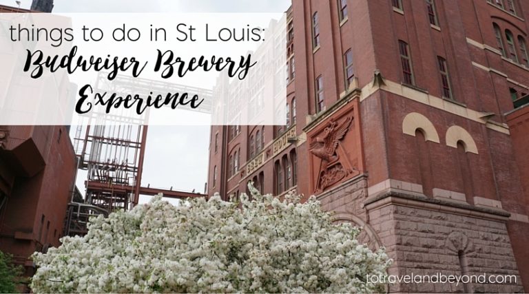 Things To Do In St Louis: Budweiser Brewery Tour