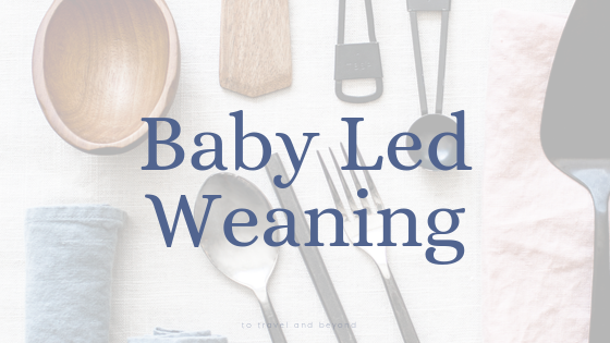 Why We Decided on Baby Led Weaning