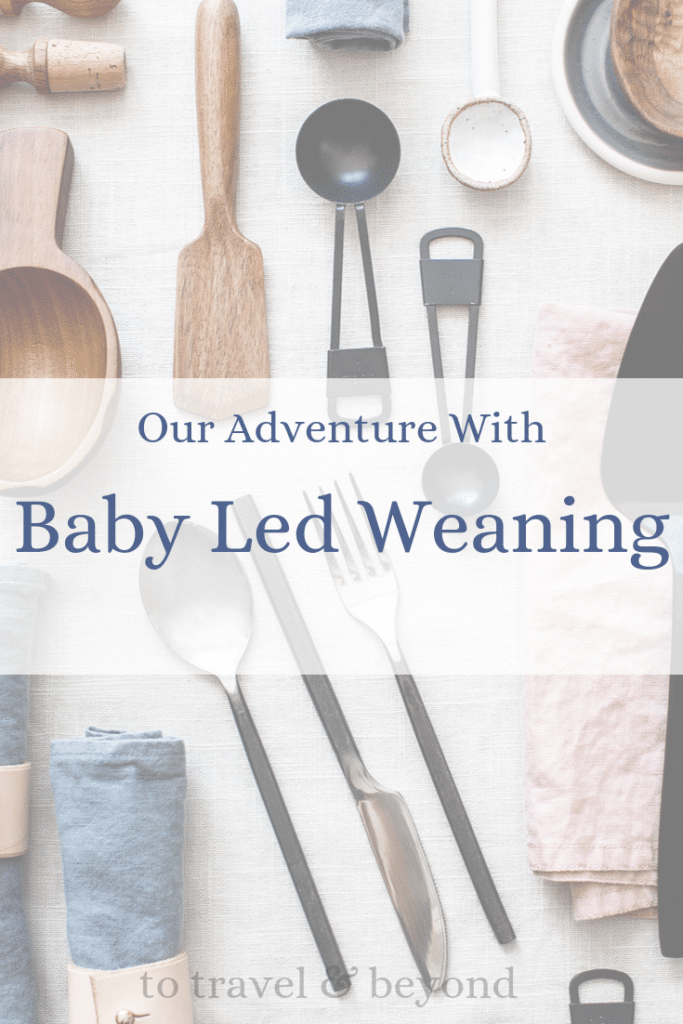 baby led weaning featured image