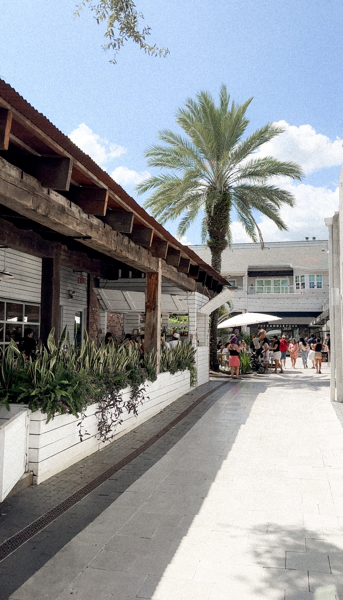 things to do in Tampa, Hyde Park Village