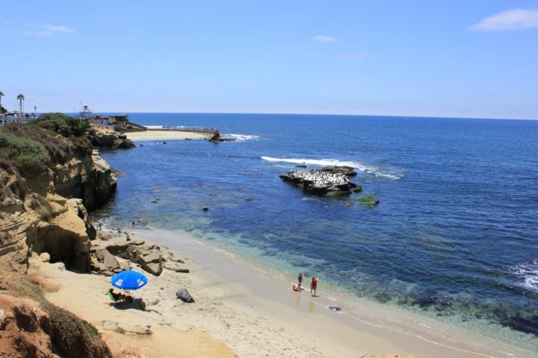 Best Tours In La Jolla: Swim With Sharks in La Jolla