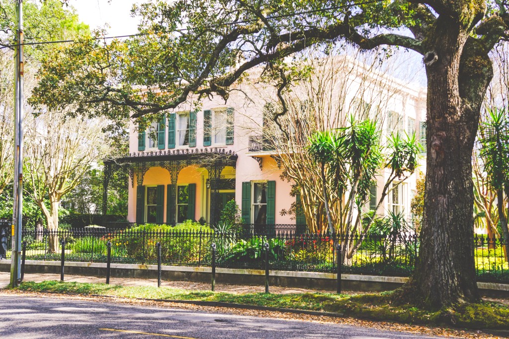 things to do in new orleans | to travel and beyond | travel blogger