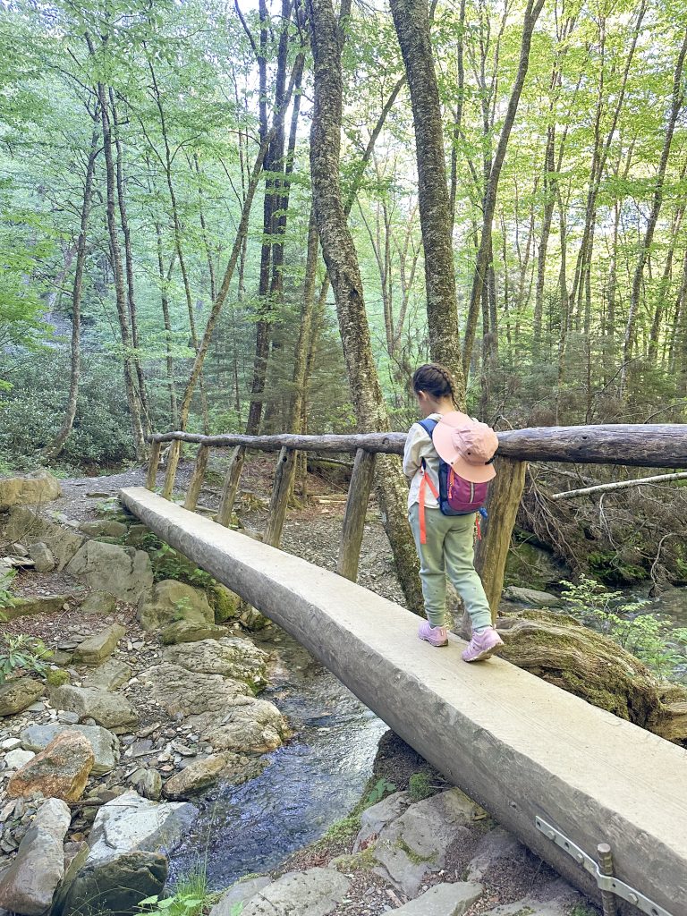 family hiking in smoky mountains 