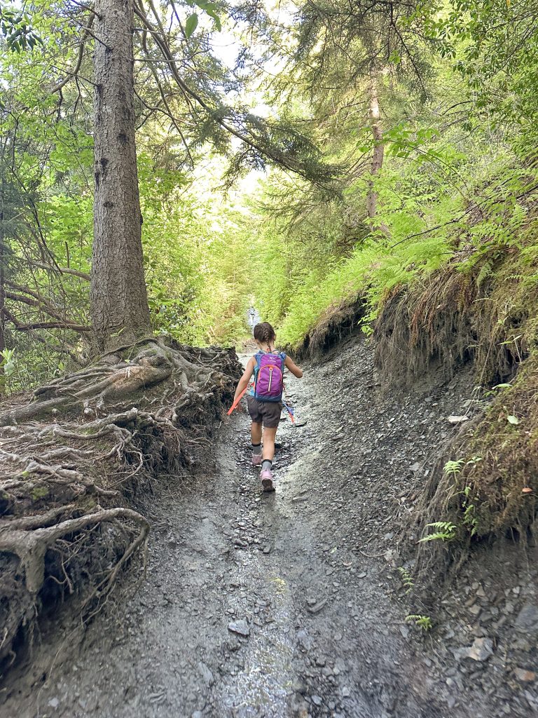 what to bring for family hike in great smoky mountains