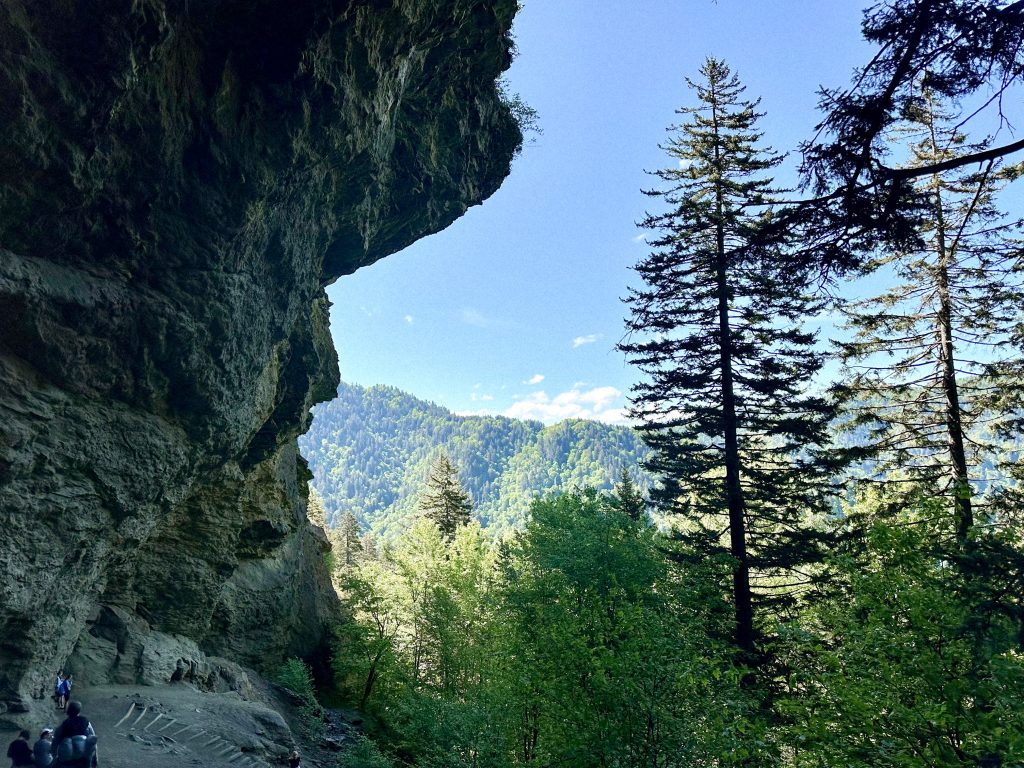 family hikes in the smoky mountains 