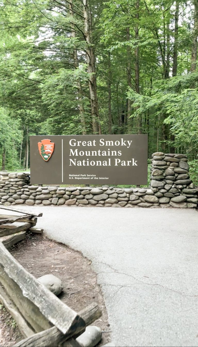 Great Things To Do In The Smoky Mountains With Kids