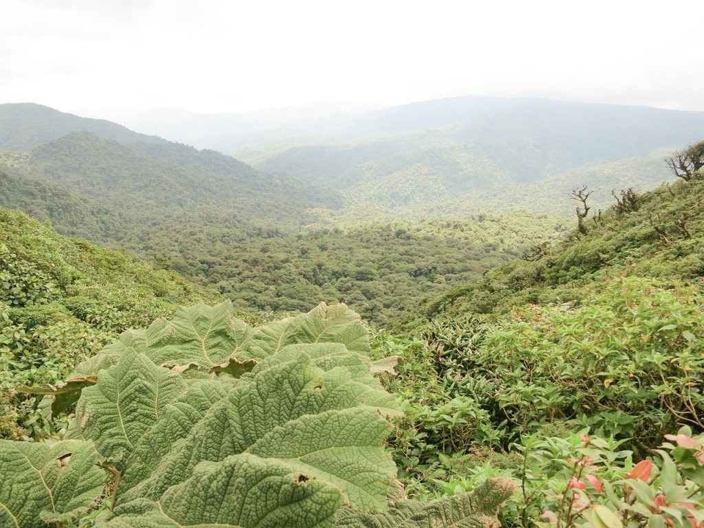 7-day itinerary costa rica cloud forest