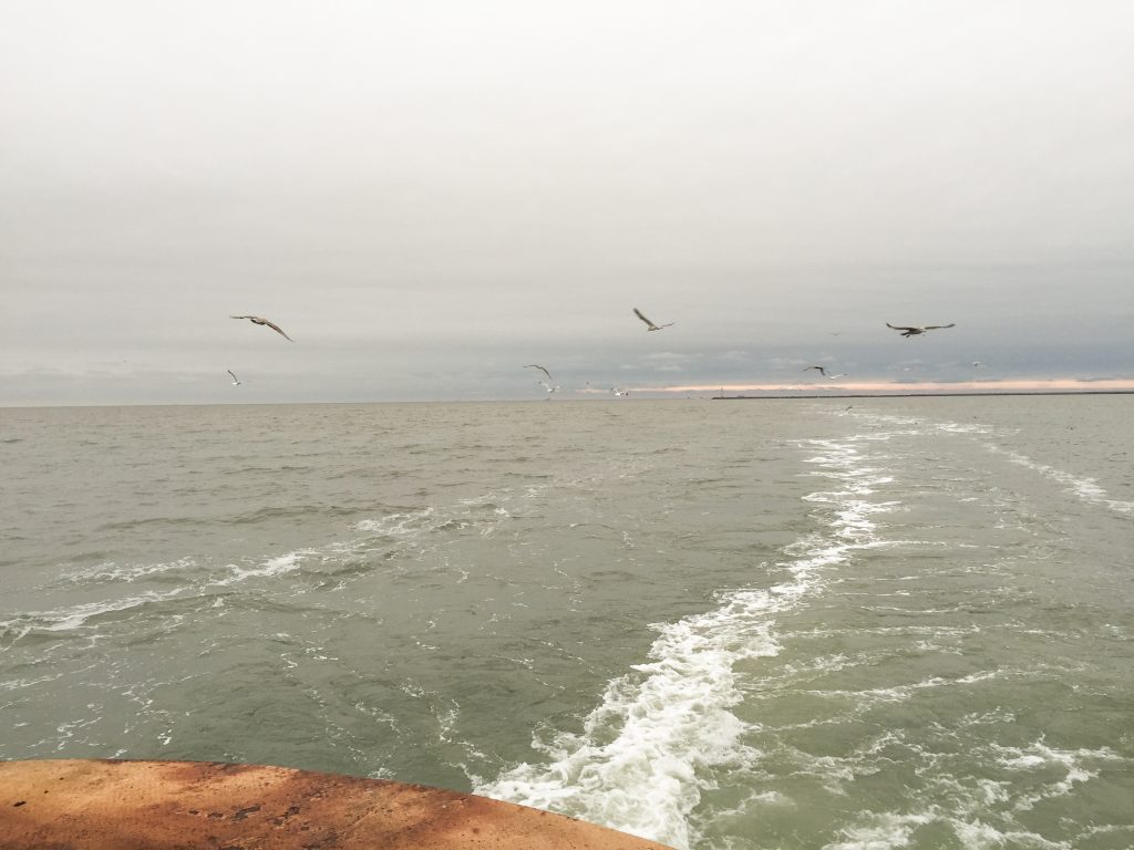 best beaches in Delaware lewes ferry to cape may