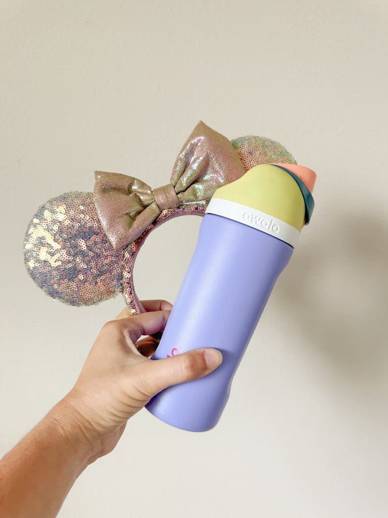 The Best Water Bottle To Use In Disney World Parks