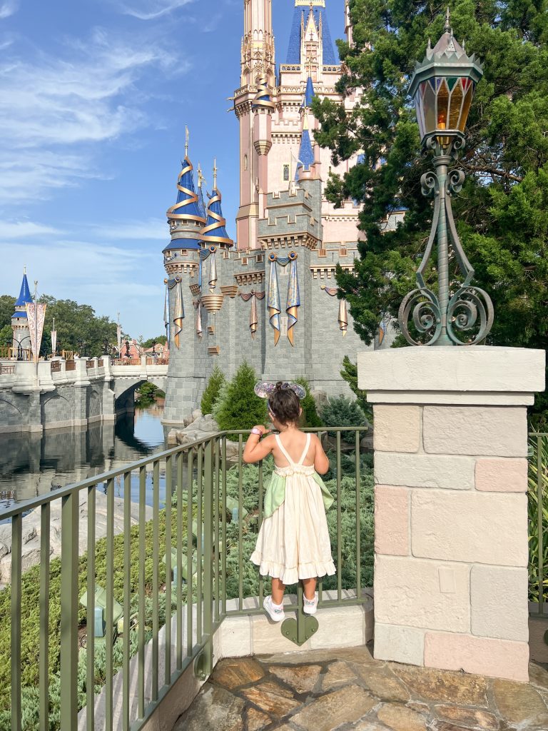 Best Magic Kingdom Experience for Young Kid - see the castle