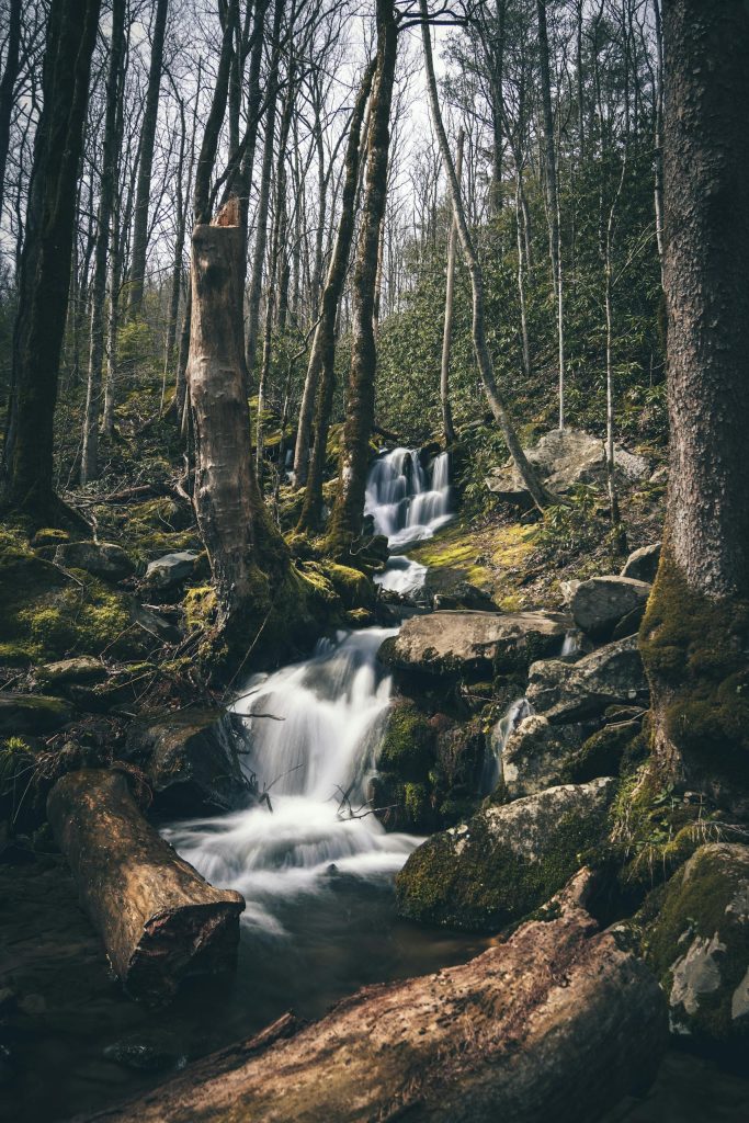 waterfalls in great smoky mountains