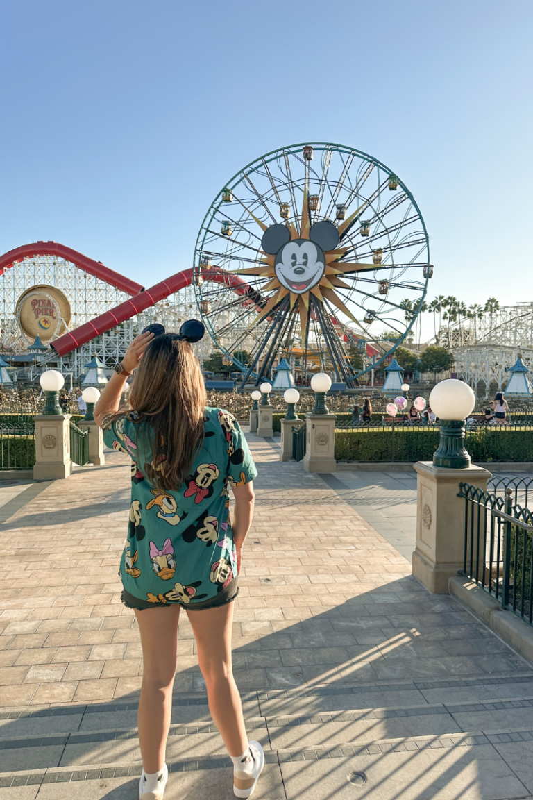 Ultimate Packing List For Disneyland + A Printable Guide