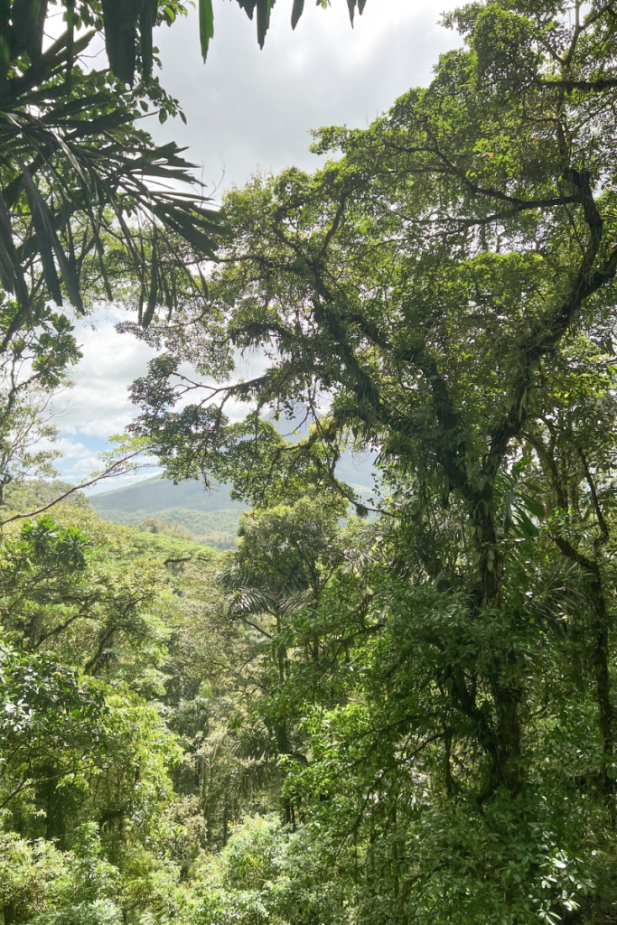 View of the Volcano in Costa Rica