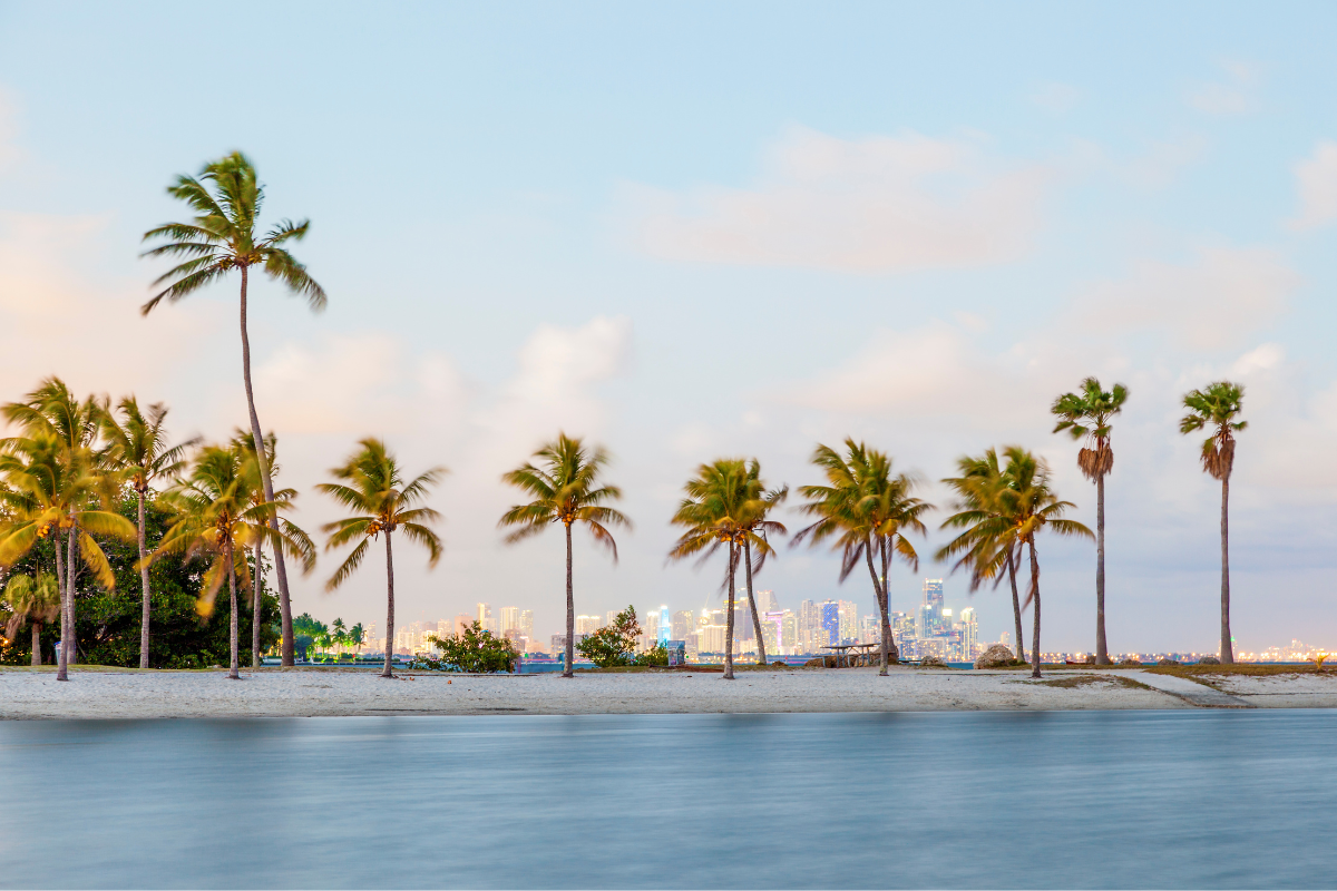 View of Miami from Boat