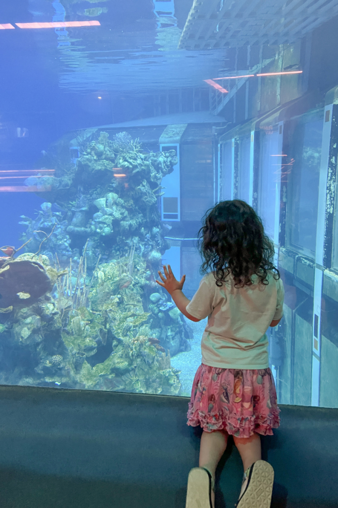 Aquarium in Epcot
