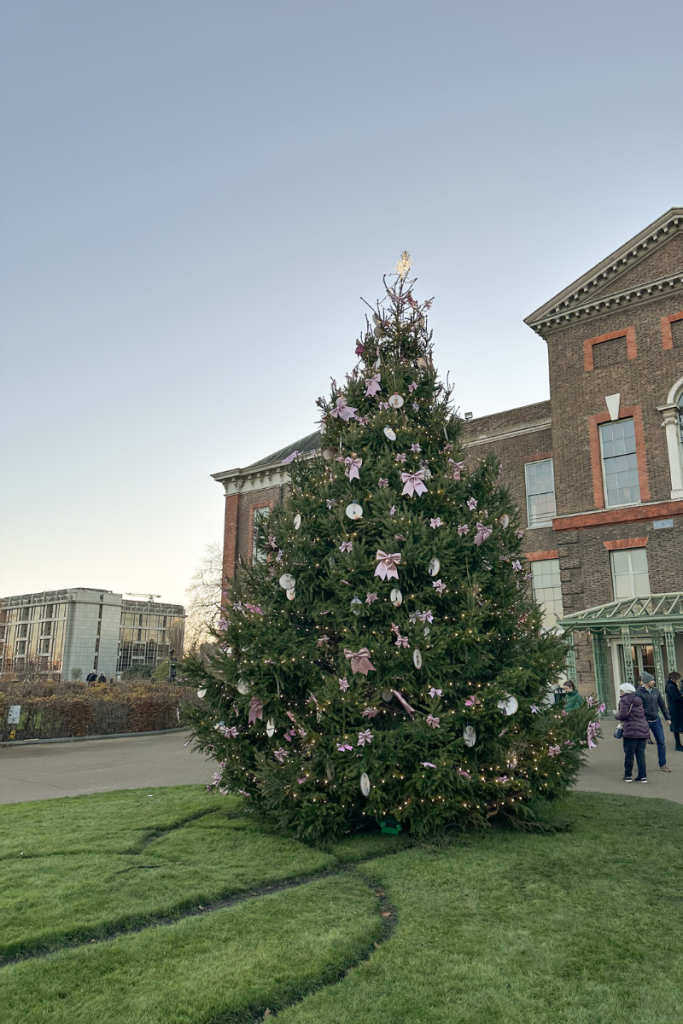 Christmas Tree Near Kensington in London