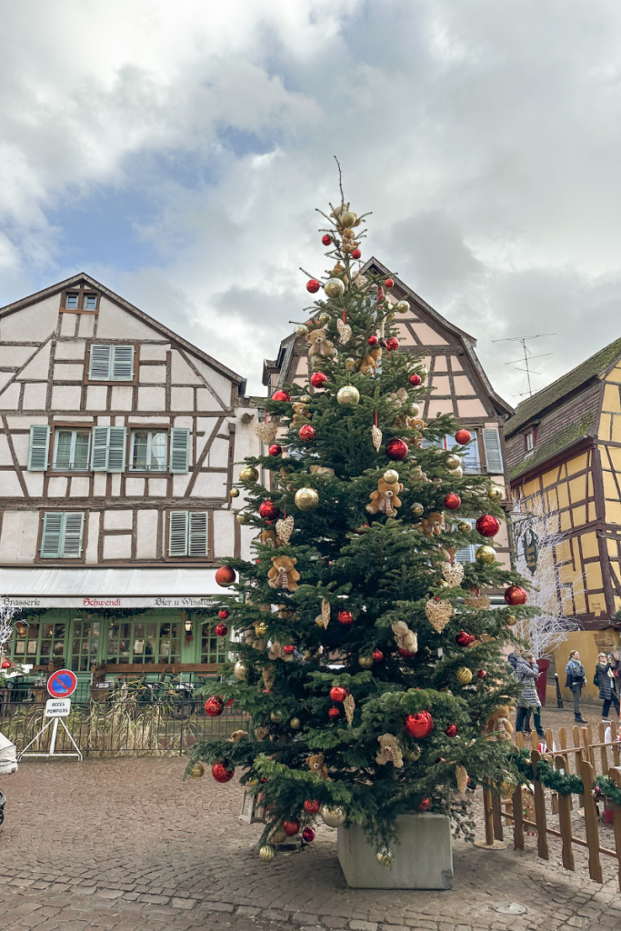 Christmas Tree in Colmar, france