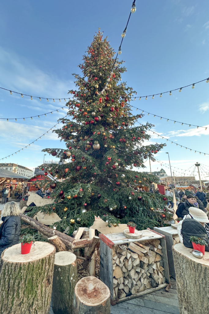 Christmas Tree at Zurich Sechseläutenplatz