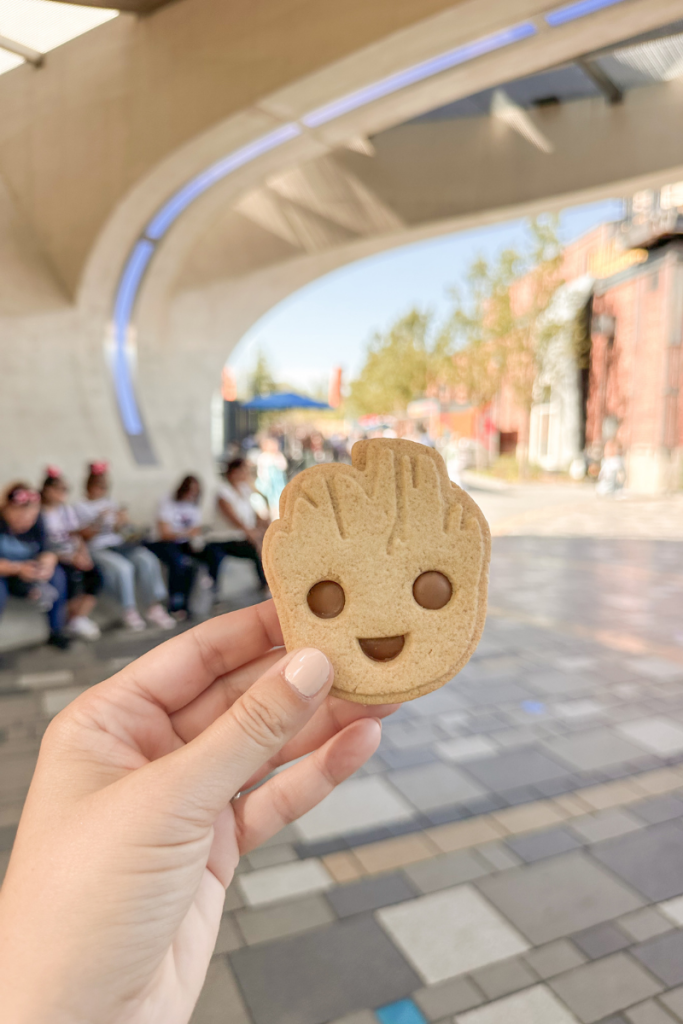 Groot Chocolate Biscuit in Walt Disney Studios Paris