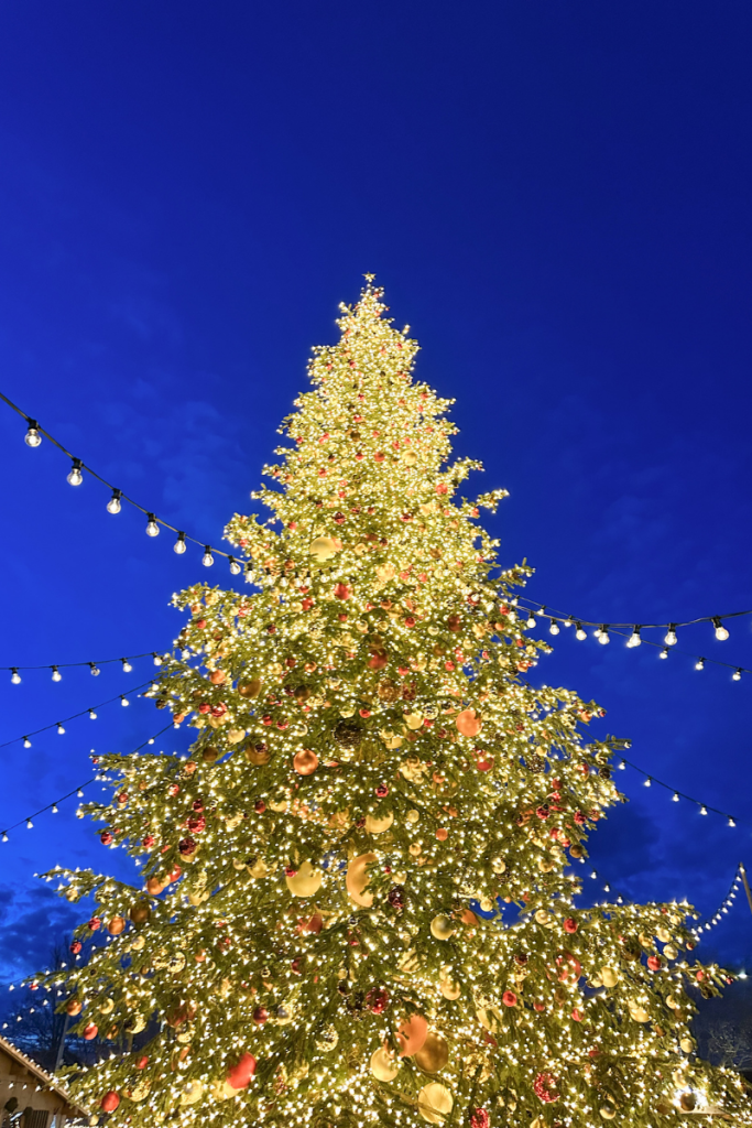 Zurich Christmas Market Christmas Tree