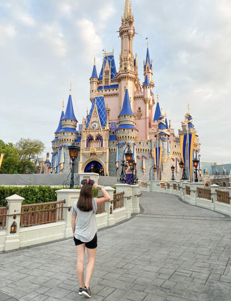 Photo During Construction of Cinderellas Castle