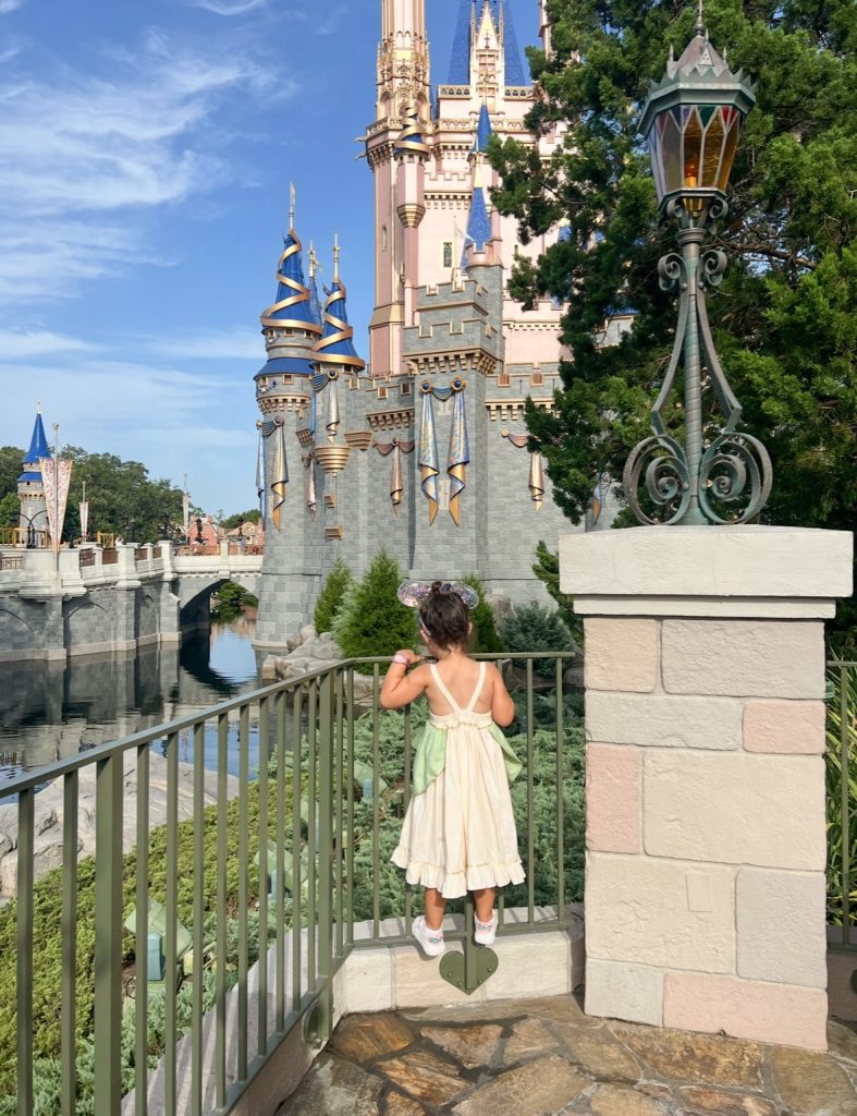 Great Photo Spot with Cinderella's Castle for kids